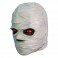 Masks - Goosebumps - Mummy Mask (Vinyl)