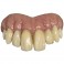 Bitemares Horror Teeth - Goofy Teeth
