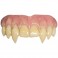Bitemares Horror Teeth - The Lost Boys - Fangs