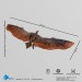 Godzilla Exquisite Basic Series Figures - King Of The Monsters - Rodan EX (Non-Scale)