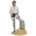 Premier Collection Statues - Star Wars - Luke Dreamer