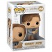 Pop! Movies - Harry Potter - Lupin (Map)