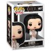 Pop! Rocks - Cher (Met Gala 1974)