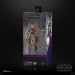 Star Wars Figures - 6" The Black Series - SW Rebels - Sabine Wren - 5L00