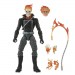 Marvel Legends 6" Figures - Ghost Rider - 5L00