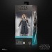 Star Wars Figures - 6" The Black Series - Ahsoka - Ahsoka Tano - 5X21