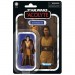 Star Wars Figures - 3.75" Vintage Collection - The Acolyte - Jedi Master Sol - 5X00