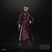 Star Wars Figures - 6" The Black Series - Ep I TPM - Padme Amidala - 5X20