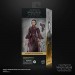 Star Wars Figures - 6" The Black Series - Ep I TPM - Padme Amidala - 5X20