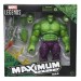 Marvel Legends 6" Figures - Maximum Series - Hulk - 5L00