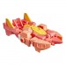 Transformers Cyberworld Figures - Cyber Changers - Elita-1 - 5X00
