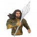 Banks - DC Comics - Aquaman Bust Bank