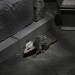 Universal Monsters 7" Scale Figures - Dracula Accessory Pack