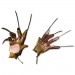 Prop Replicas - NOES 1 (1984 Movie) - 1/1 Scale Freddy Glove