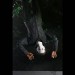 Halloween Resurrection 7" Scale Figures - Ultimate Michael Myers