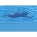 Jaws Statues - 3D Movie Poster Statue (Light Up)