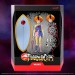 S7 ULTIMATES! Figures - ThunderCats - W08 - WilyKit