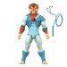 S7 DX Deluxe Figures - ThunderCats - W02 - Tygra
