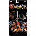 S7 DX Deluxe Figures - ThunderCats - W02 - Tygra
