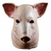 Masks - Trick Or Treat Studios Originals - Blood Pig Mask