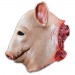 Masks - Trick Or Treat Studios Originals - Blood Pig Mask
