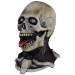Masks - The Return Of The Living Dead - Party Time Skeleton Zombie Mask
