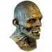 Masks - Trick Or Treat Studios Originals - Jordu Schell Collection - Dry Rot Mask
