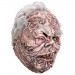 Masks - Trick Or Treat Studios Originals - Dorian Gray