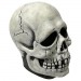 Masks - Don Post - Skull Latex Mask