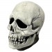 Masks - Don Post - Skull Latex Mask