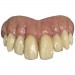 Bitemares Horror Teeth - Goofy Teeth