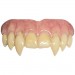 Bitemares Horror Teeth - The Lost Boys - Fangs